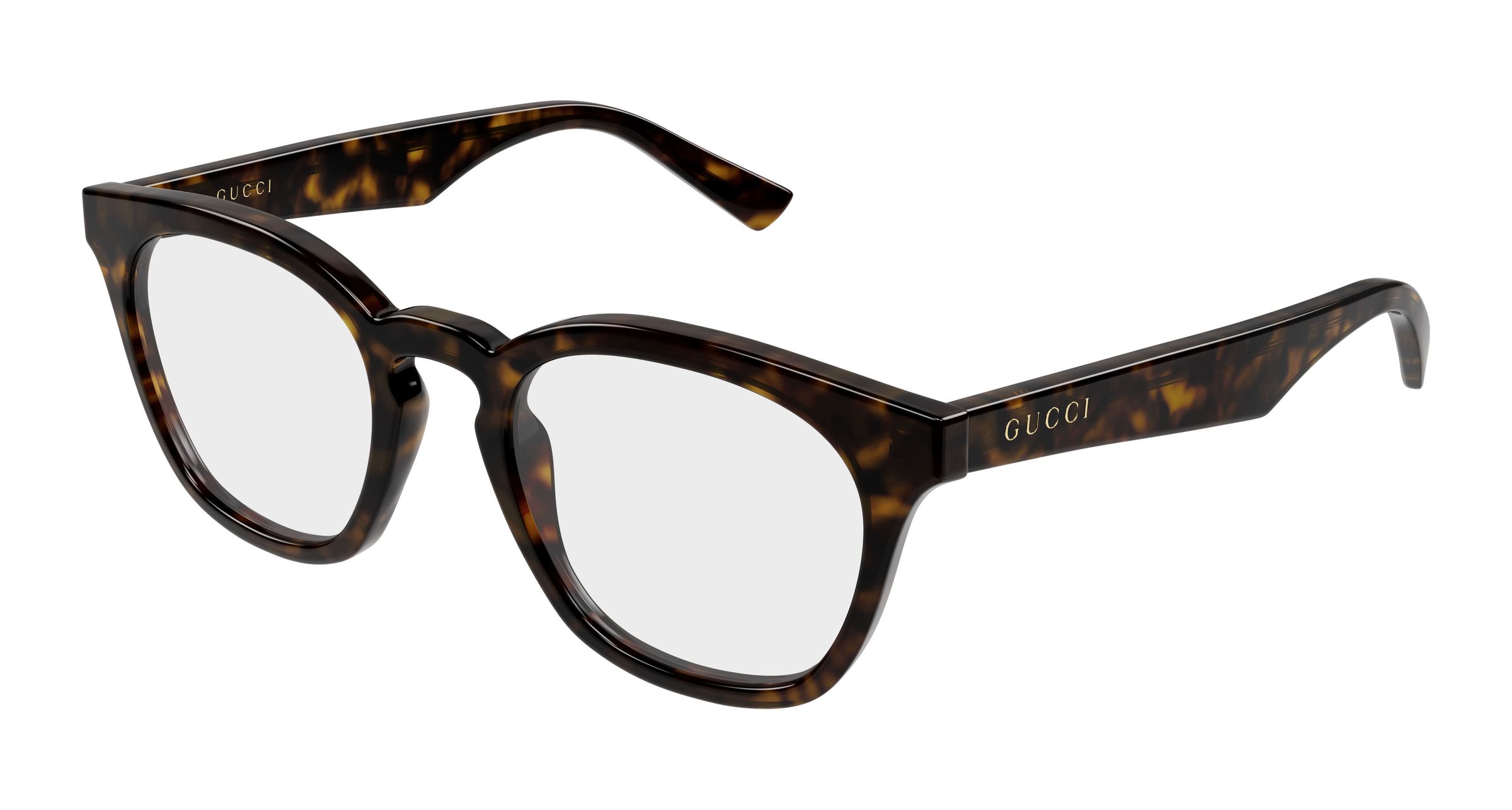 GG2185O-006-cat-xxl