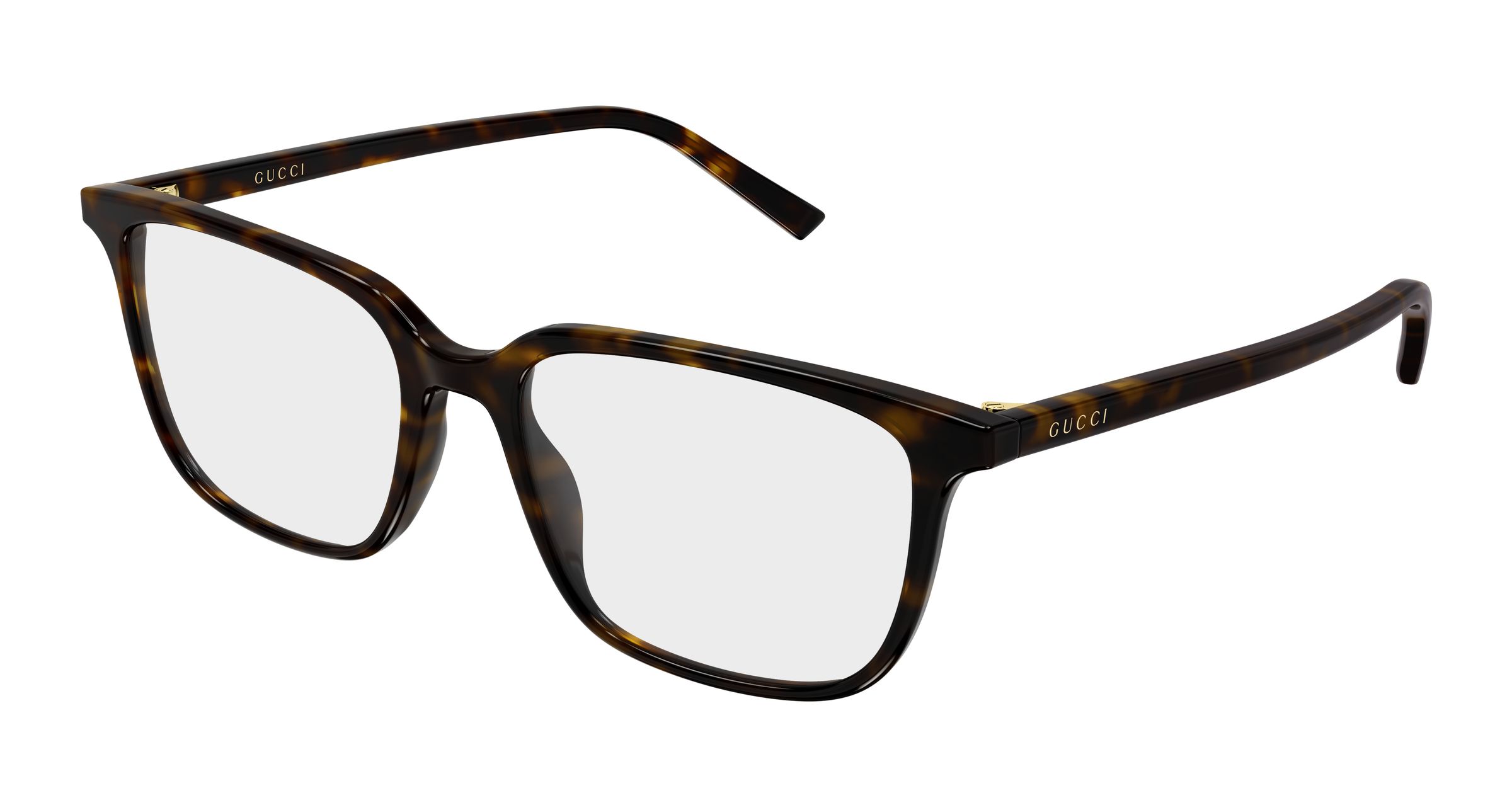 GG2238O-006-cat-xxl