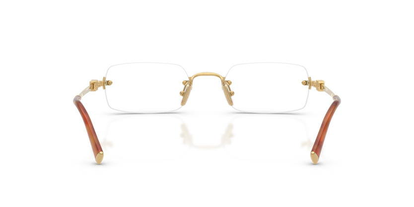 0MU_50YV__5AK1O1__P21__shad__bk.png